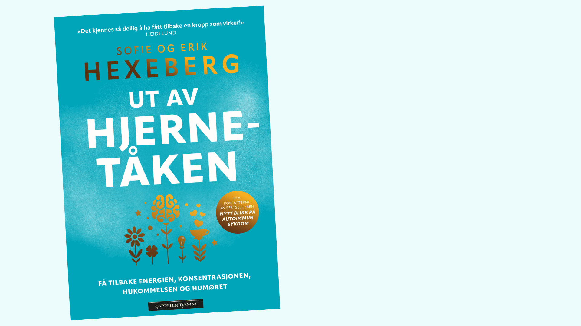 Bokanmeldelse av "Ut av hjernetåken"