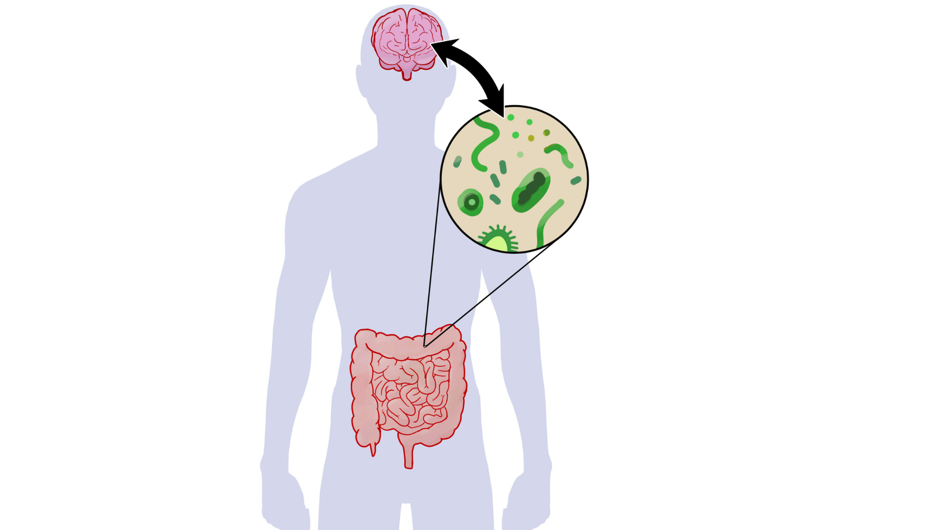 Lekk tarm og helseproblemer