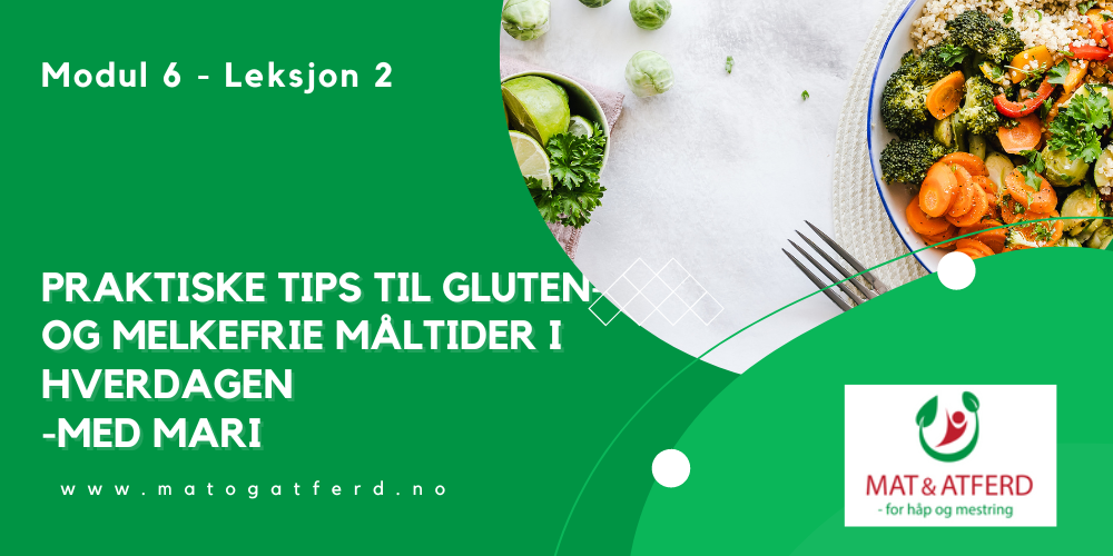Modul 5 - Leksjon 4 - Måltider i hverdagen