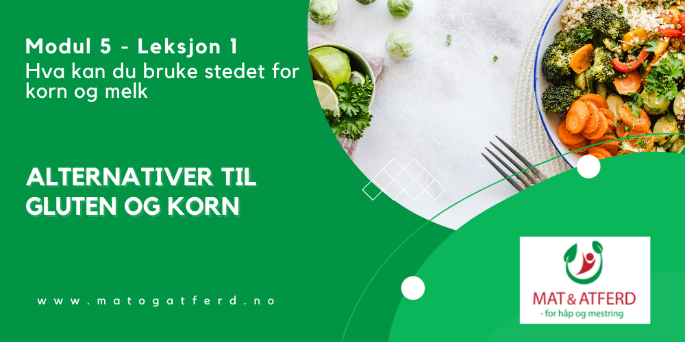 Modul 5 - Leksjon 1 - Alternativer til gluten/korn