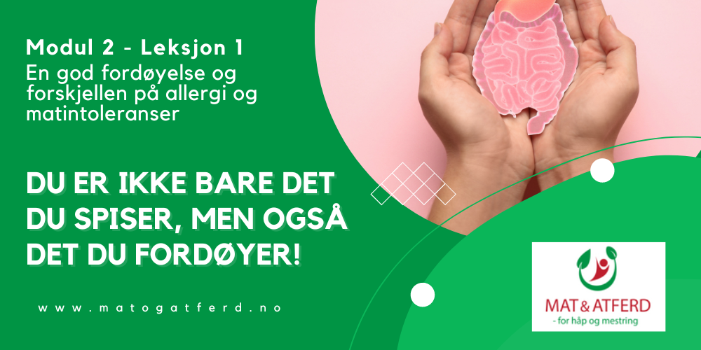 Modul 2 - Leksjon 1 - Du er også det du fordøyer