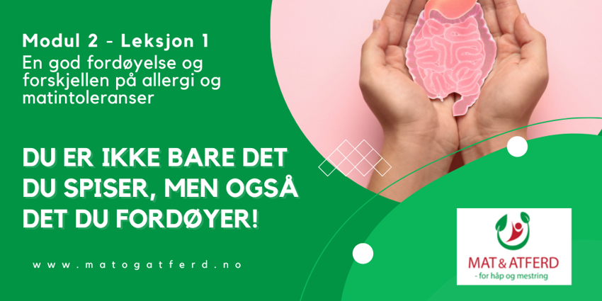 Modul 2 - Leksjon 1 - Du er også det du fordøyer