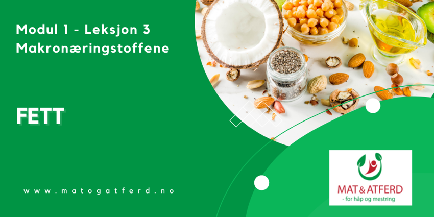 Modul 1 - Leksjon 3 - Fett