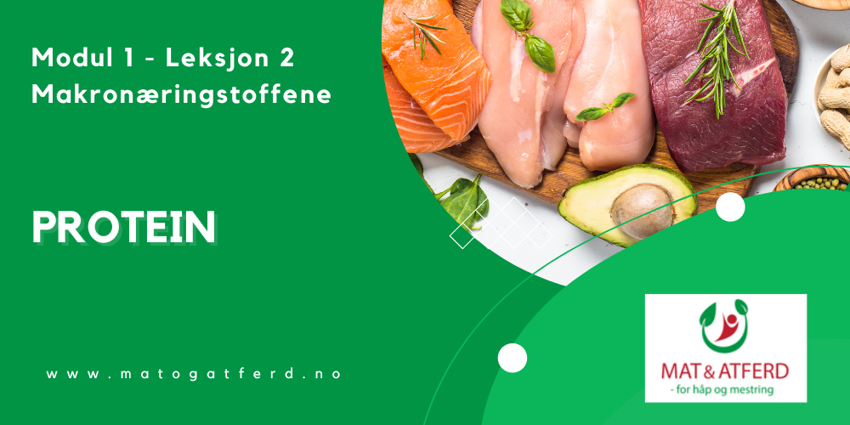 Modul 1 - Leksjon 2 - Proteiner