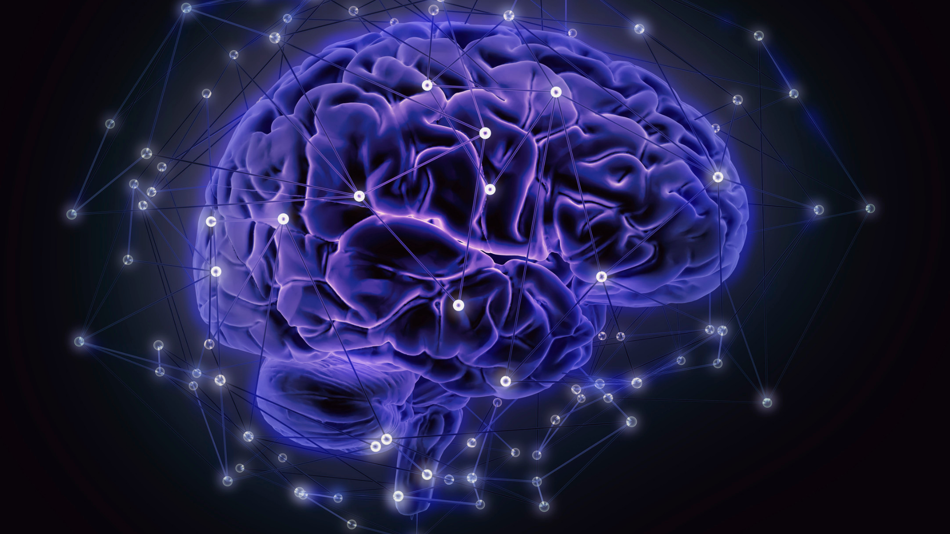 Svar fra partiene om mat, tarm og uro i skolen