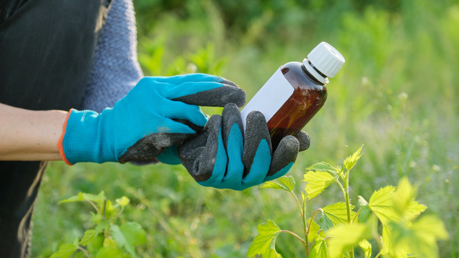 Er sprøytemiddelrester i maten skadelige