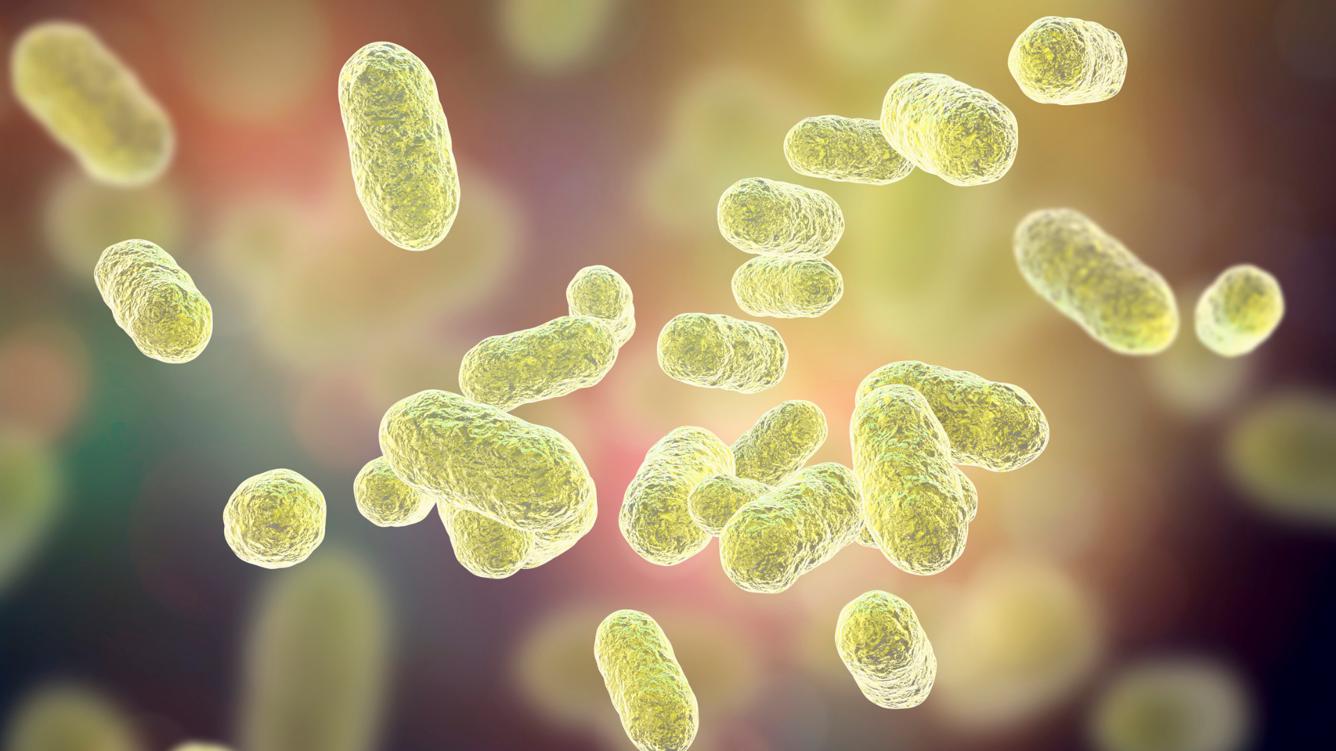 Hva er mikrobiomet og hvordan utvikler det seg i den enkelte av oss?